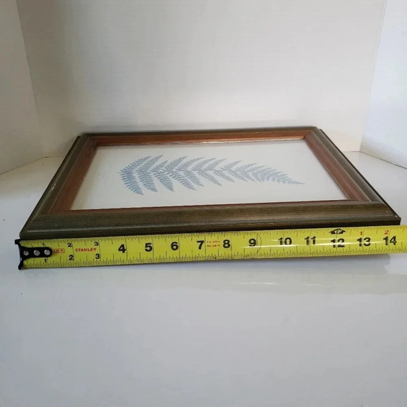 Framed Prints Of Wild Oats & Botanical Fern In  Green Frames Avena Fatua LIX. - Picture 5 of 6